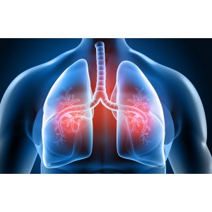 Respiratory Pathogen Panel (RPP)
